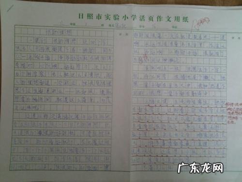 抄一篇优秀作文300字三年级 优秀作文350字可抄