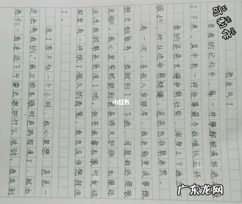 抄一篇优秀作文300字三年级 优秀作文350字可抄