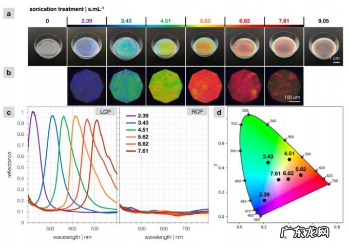 80后科学家用果蔬纤维素制成眼影亮片！无毒可降解