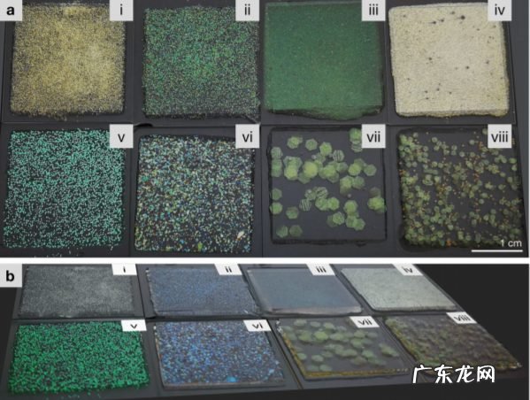 80后科学家用果蔬纤维素制成眼影亮片！无毒可降解