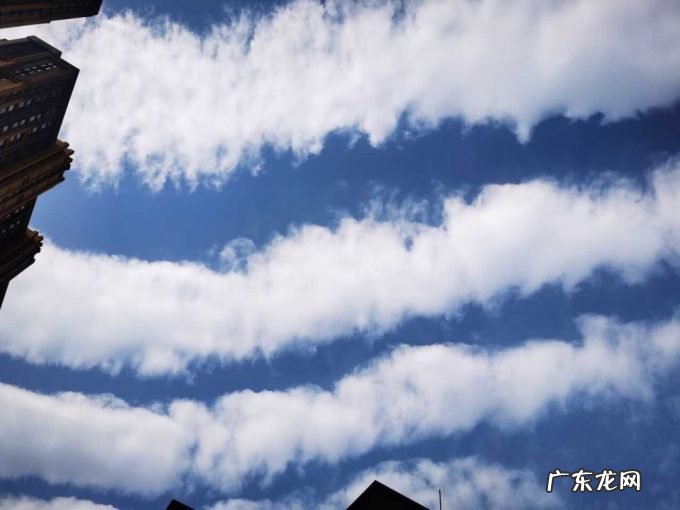 南方多地现毛虫云,这是要下暴雪了?分析:重力波,寒潮翻山所致