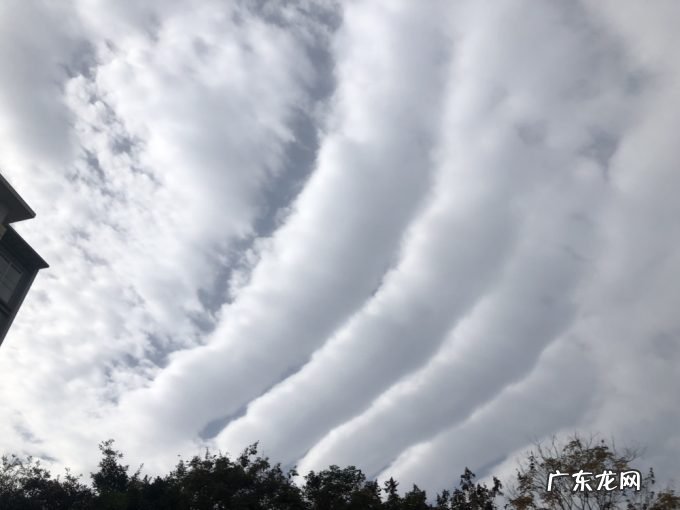 南方多地现毛虫云,这是要下暴雪了?分析:重力波,寒潮翻山所致