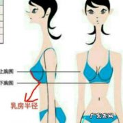 让乳房疼的100种方法 100个最美乳房