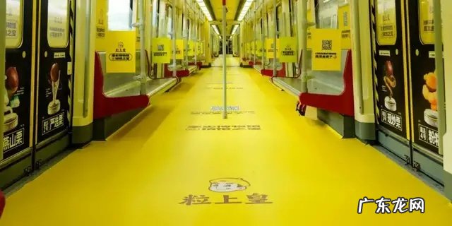 活久见!给“栗子”开博物馆?被粒上皇这波操作秀到了