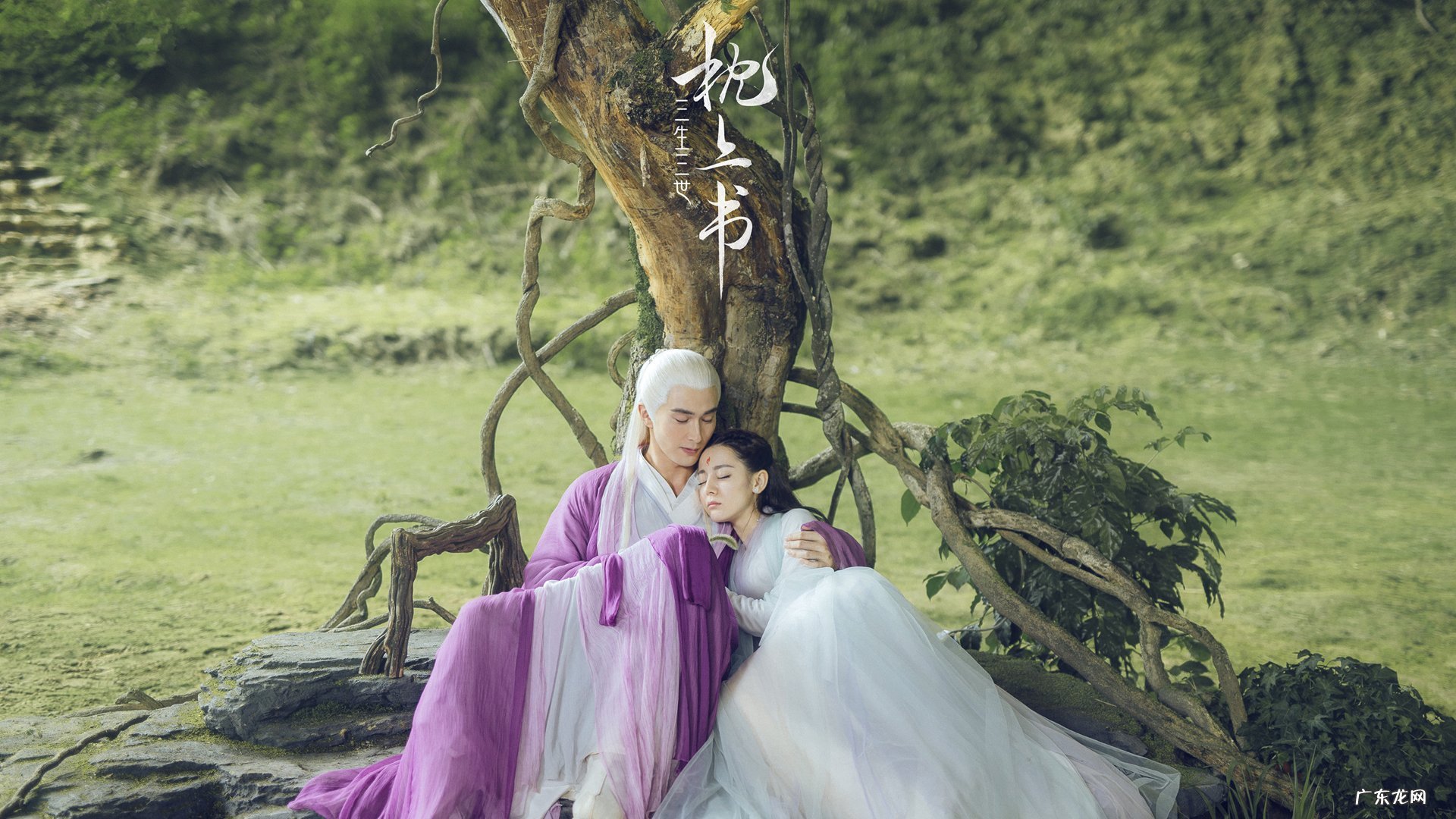 怎样揉肚子能够帮助减肥?