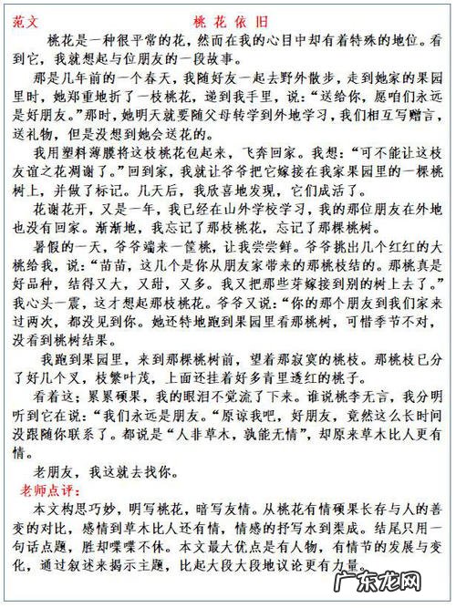 三年级如何写好作文的方法和技巧 如何写好作文的方法和技巧