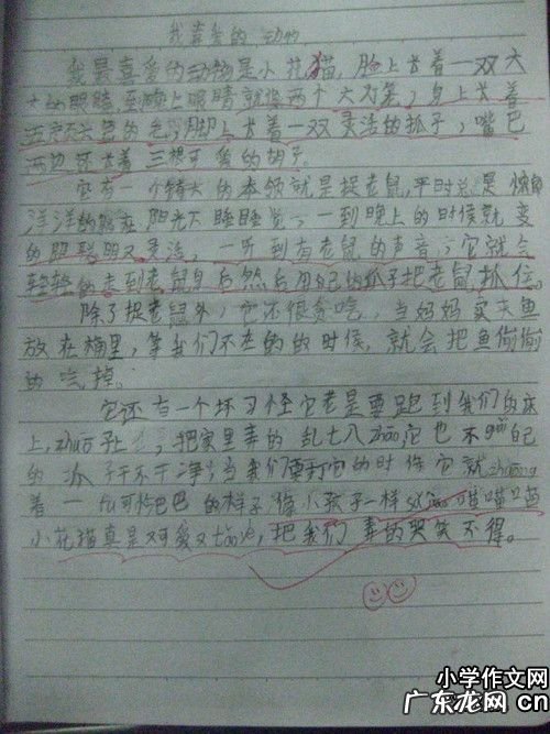 作文大全 写作文300字大全