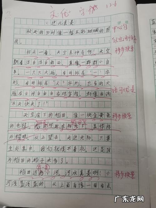三年级作文这儿真美丽300字 三年级作文这儿真美丽