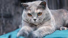 这个 一米六五的女生标准体重是多少来