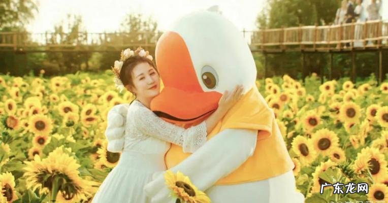 沈腾资料档案 沈腾资料