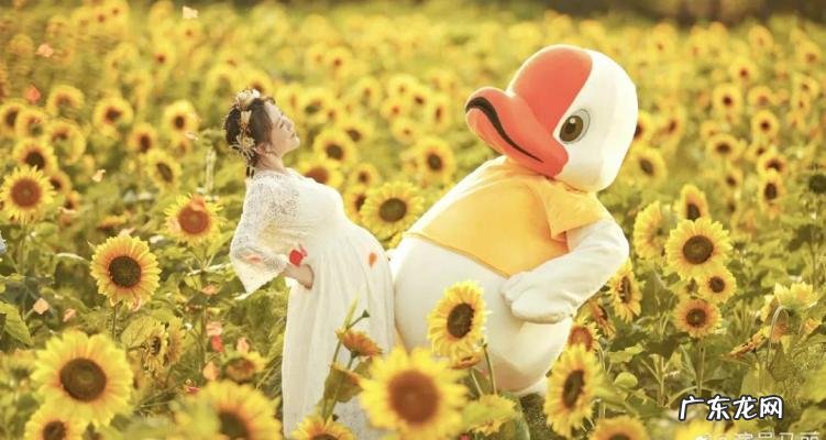 沈腾资料档案 沈腾资料