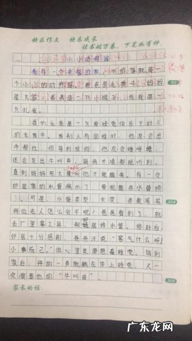 小小动物园100字作文四年级 四年级小小动物园400字作文