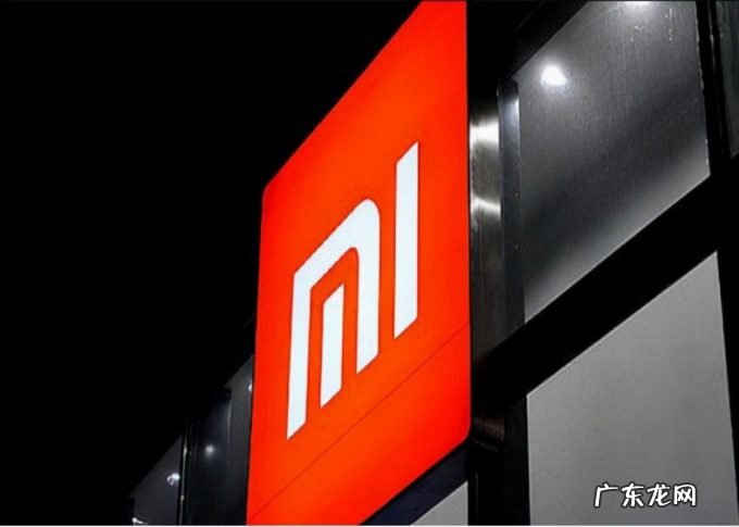 顺德品牌德尔玛，贴牌飞利浦年入6.97亿，为小米代工半年入2.92亿