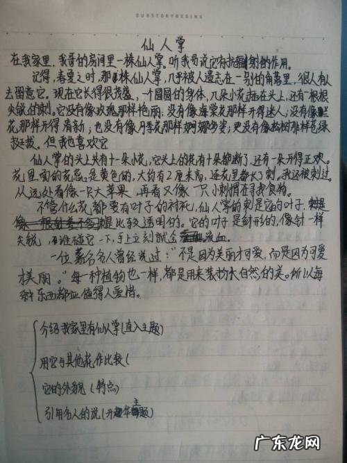 中考作文带批注每段 中考作文批注及赏析