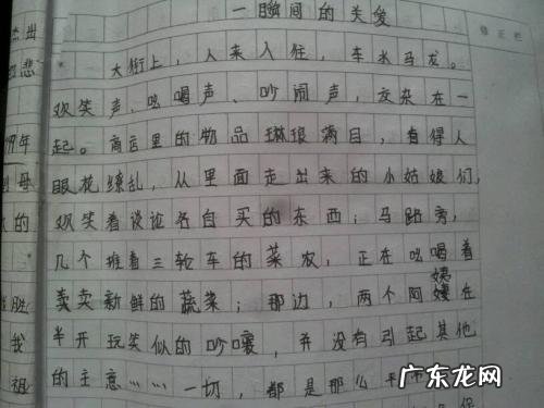 小学生作文大全三年级范文菊花 小学生作文大全三年级范文