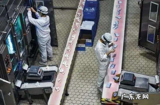 有前中后调的新疆奶子,被喝成奶中“玲娜贝儿”