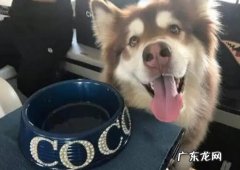 王思聪还是不想接班