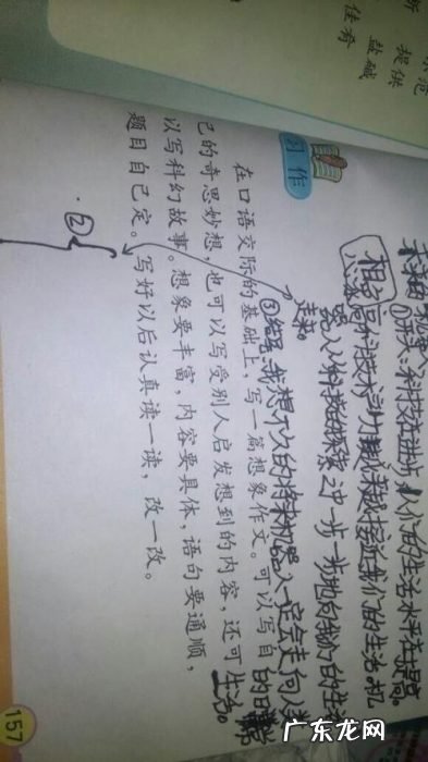 四年级作文提纲10篇 作文提纲10篇