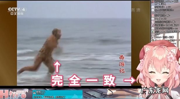 直播月入800万、登上时装周,虚拟主播加速艺人化