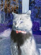 广州市伟达中药饮片有限公司介绍？