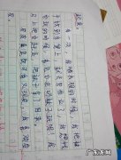 抄作文大全300字四年级 抄作文大全300字