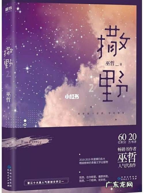 作文《光》 撒野作文《光》