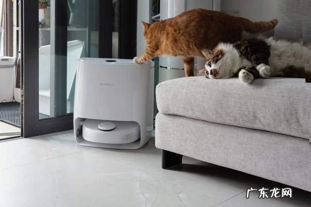云鲸 J2 体验:自动换水自洗拖布的扫拖机器人,能让人更懒吗?