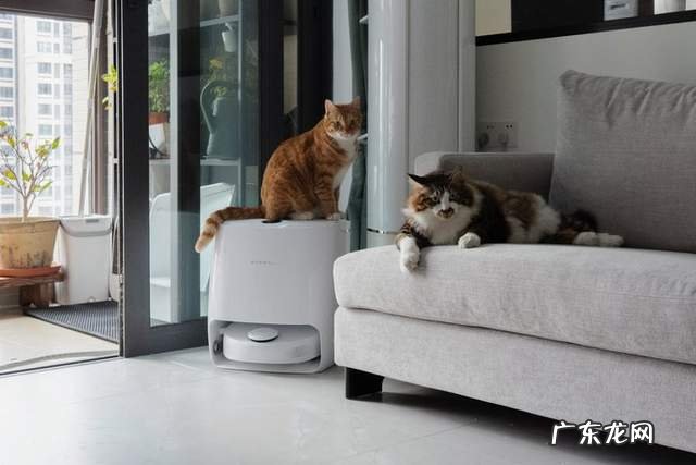 云鲸 J2 体验:自动换水自洗拖布的扫拖机器人,能让人更懒吗?