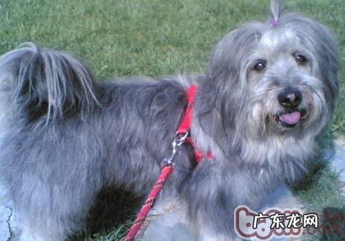 妥善处理新老用户犬关联