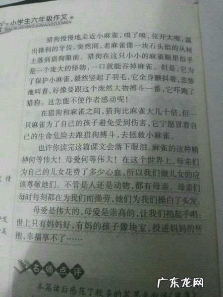 游记300字优秀作文带题目 300字优秀作文带题目