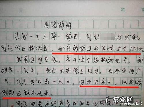 怎样教小学生写好作文 小学生怎样才能写好作文