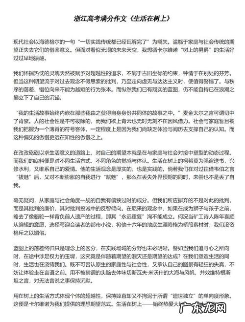 甲卷2021高考优秀作文10篇 2018高考满分作文酒原文