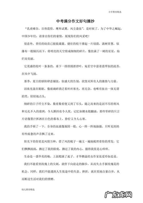中考满分作文好句摘抄大全 中考满分作文摘抄大全