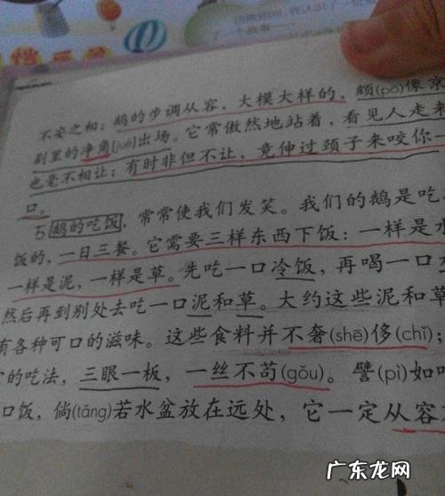 小学四年级优秀作文大全 小学四年级优秀作文大全