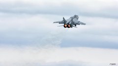 荷叶苦丁茶减肥效果怎么样?