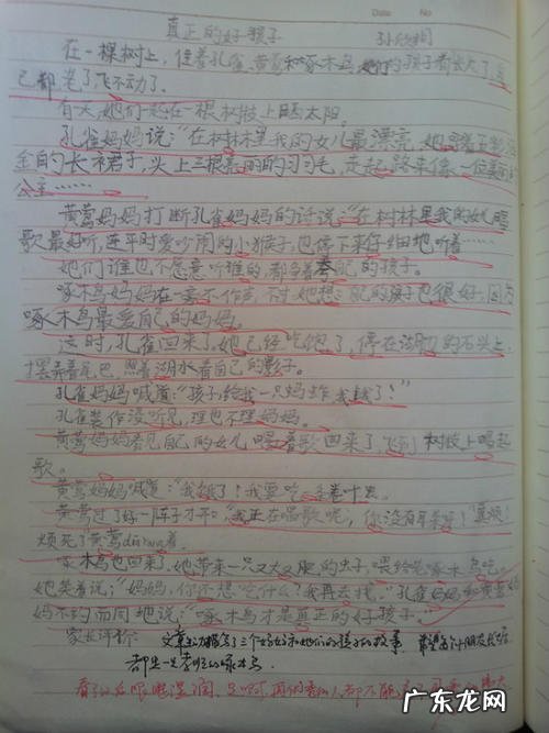 写人300字优秀作文 中学生的优秀作文300字