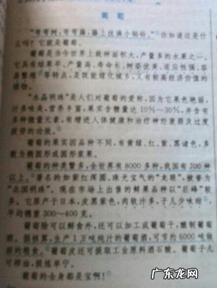 写一篇日记300字 抄一篇日记200字左右