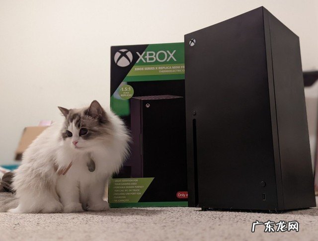 Xbox迷你冰箱开箱视频 曾被黄牛抢光并高价出售