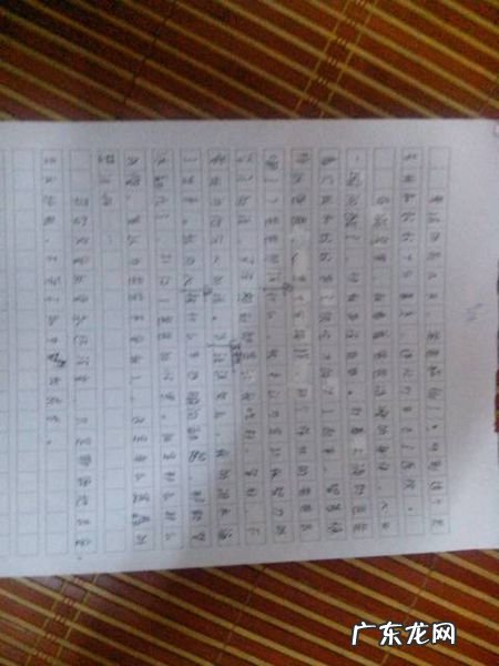 五篇优秀作文450字五年级 五篇优秀作文450字