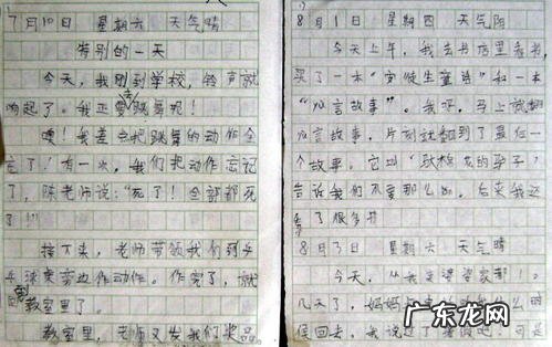 小学生三年级作文大全 三年级作文大全