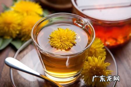 蒲公英有哪些功效?怎么食用最养生?