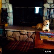 太原值得推荐的月子中心有哪些？