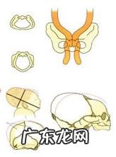 生孩子顺产全产程 记录-顺产产程记录表