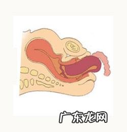 生孩子顺产全产程 记录-顺产产程记录表