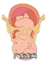 生孩子顺产全产程 记录-顺产产程记录表