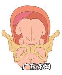 生孩子顺产全产程 记录-顺产产程记录表