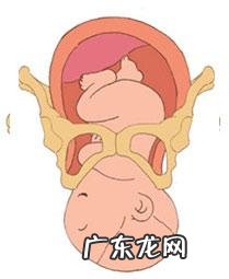 生孩子顺产全产程 记录-顺产产程记录表