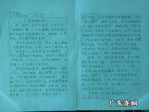 好作文开头结尾摘抄 摘抄优秀作文450字