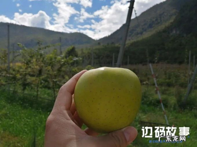 边民的互联网世界