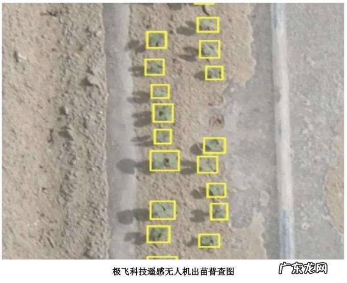 农用无人机第一股,大疆最想干掉的对手,极飞科技IPO解读